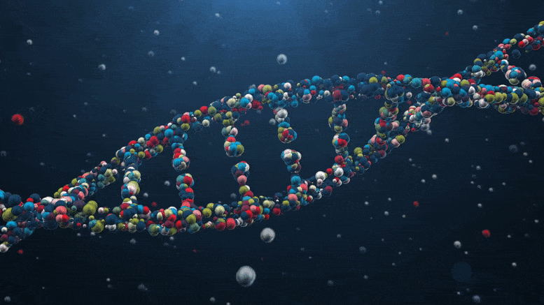 Human Stem Cells Are Cloned