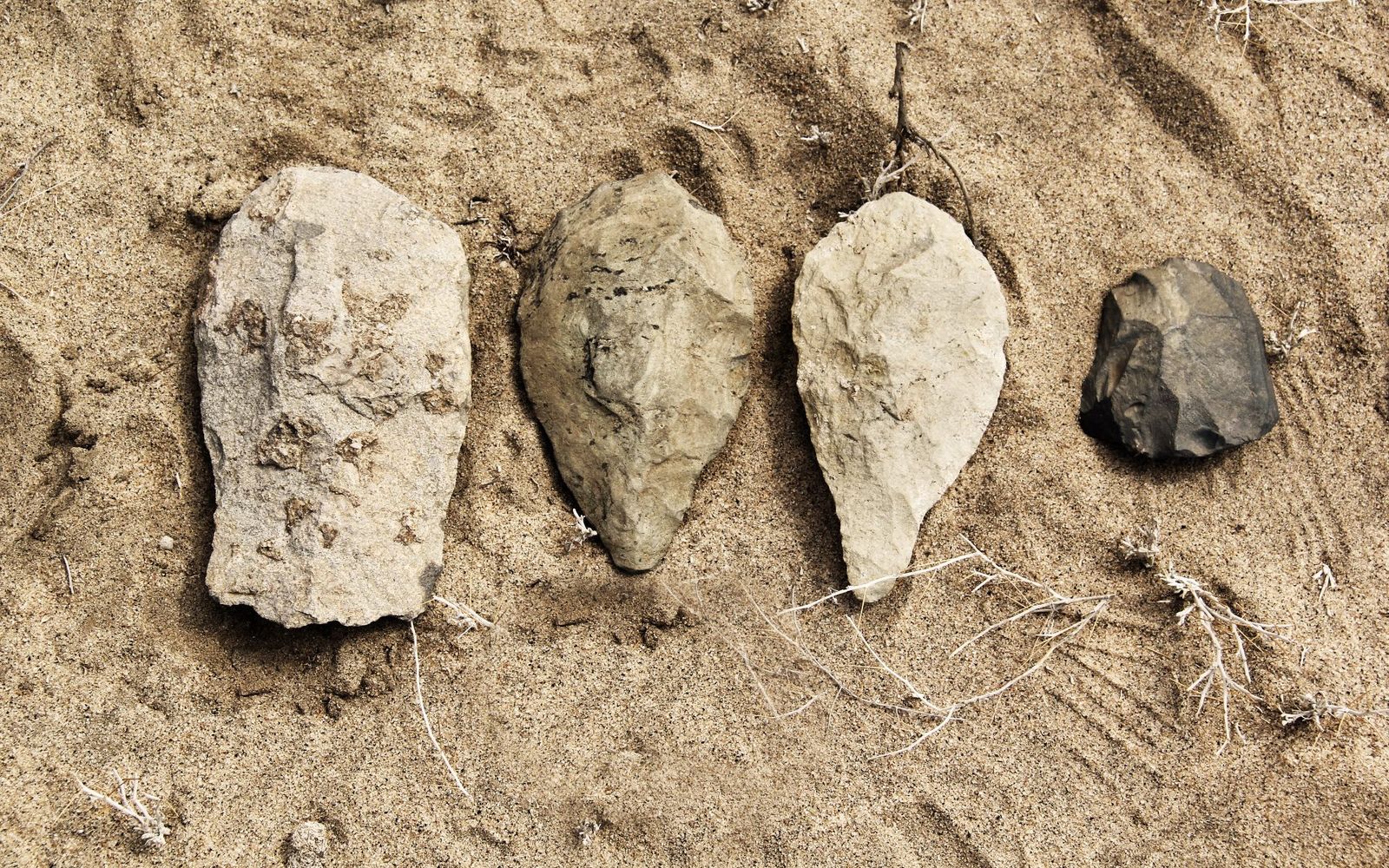 Archaeologists Find Oldest Stone Tools