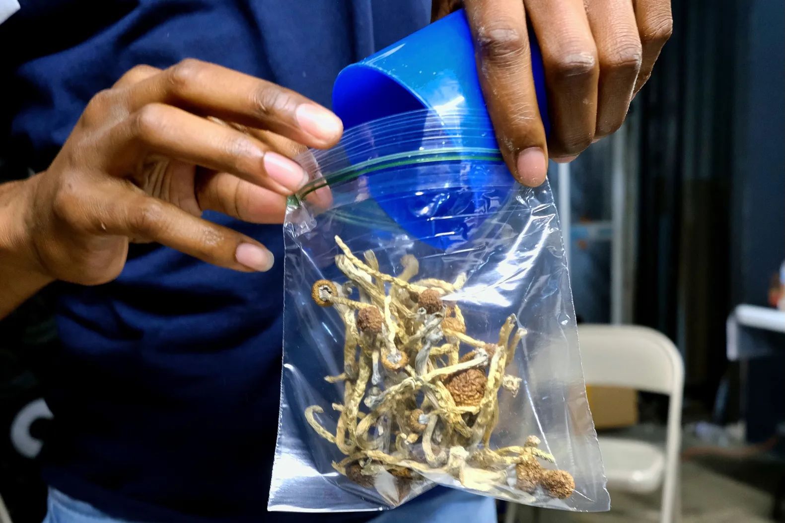 Oakland Decriminalizes Psychedelics