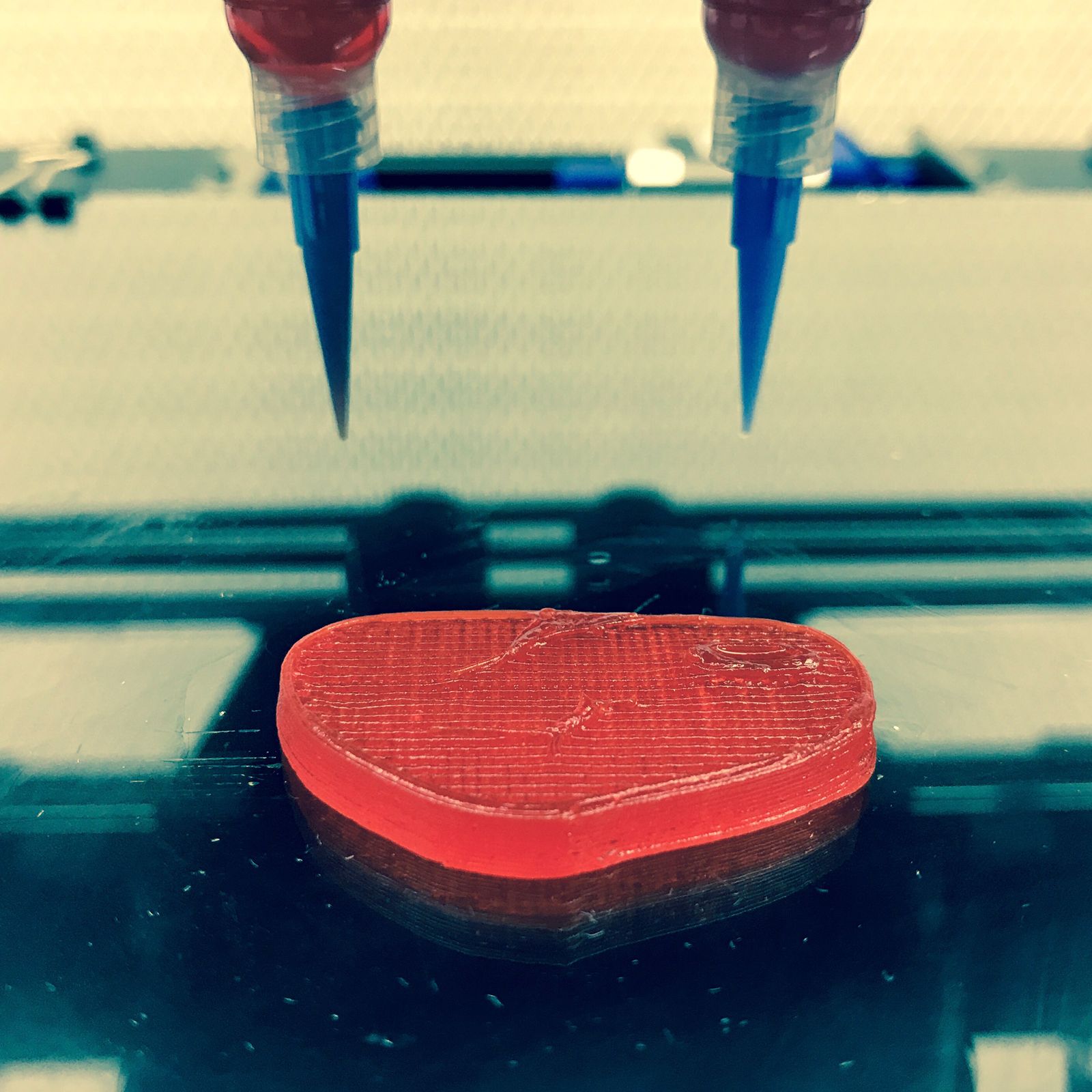 3D Printed Steak?