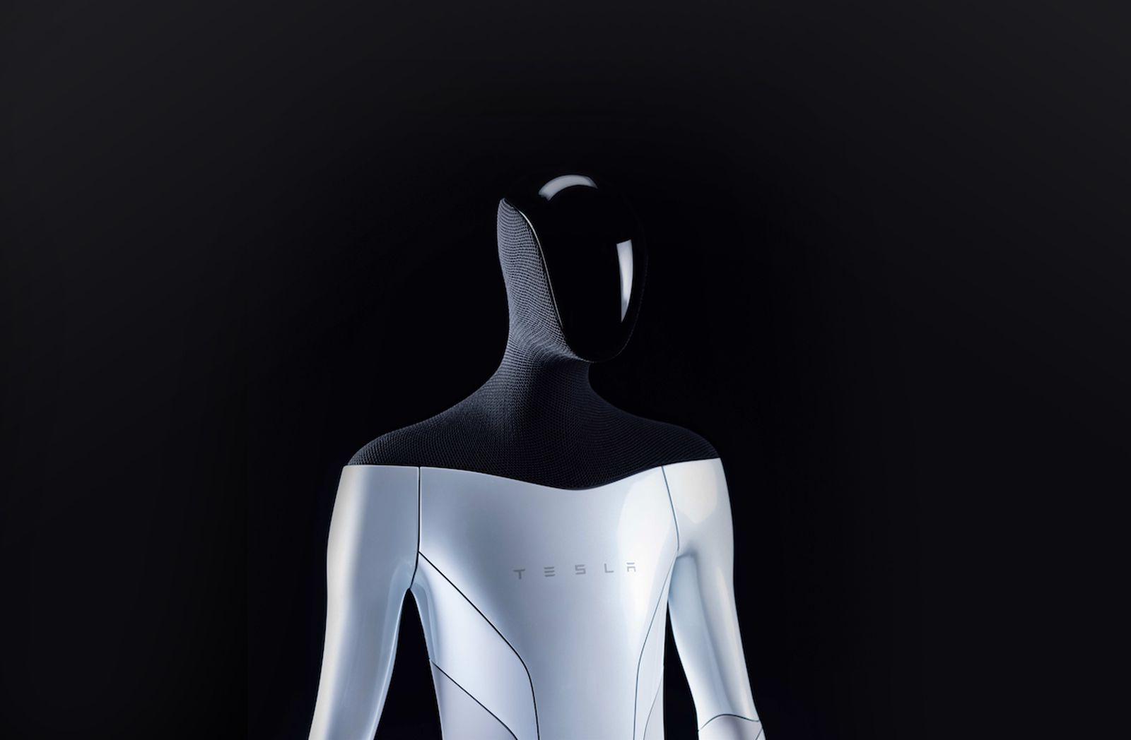 The Tesla Bot