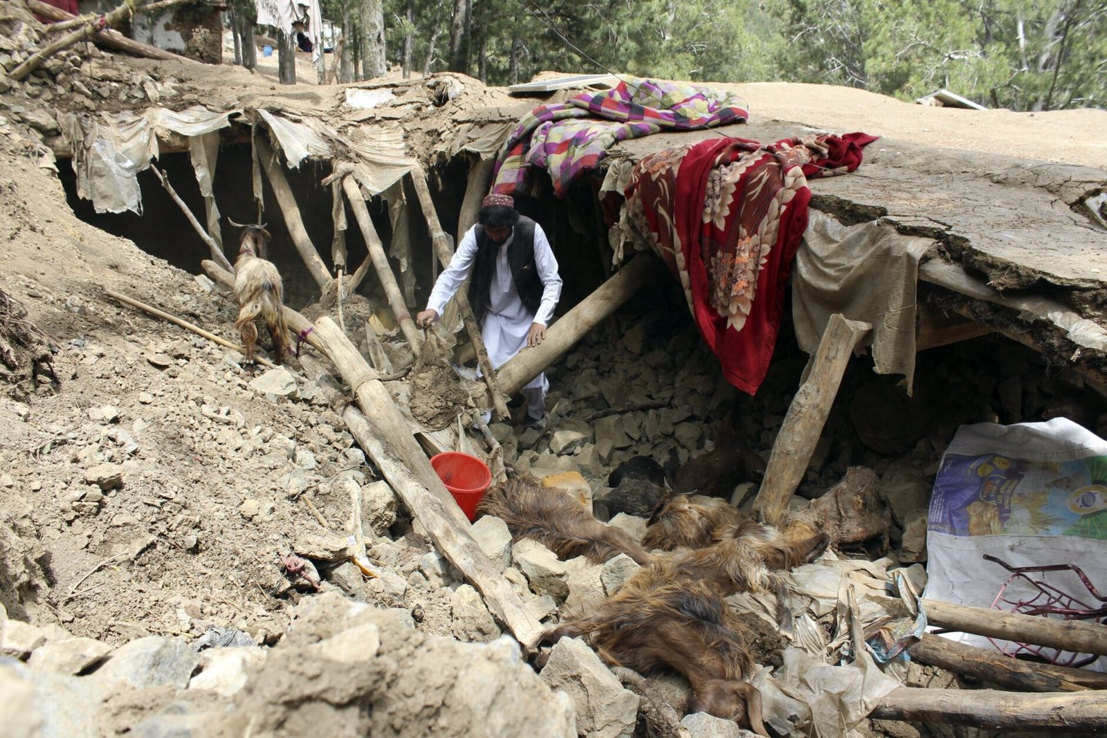 An Earthquake Devastates Afghanistan